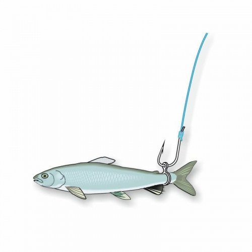 Силиконов ринг за пелета Stonfo art. 137