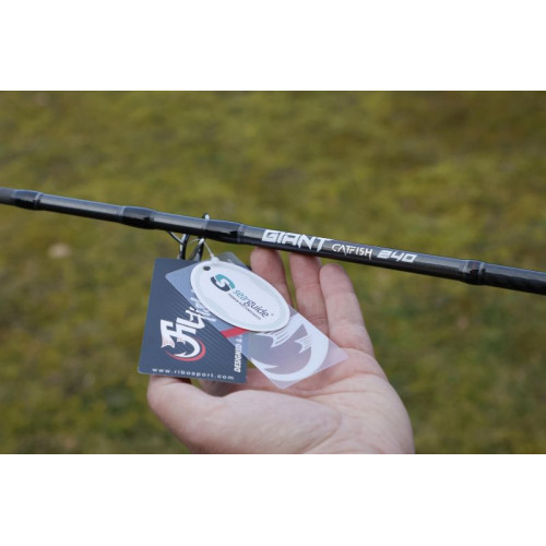 Въдица Fil Fishing Giant Catfish  3.20 м/ 600 гр