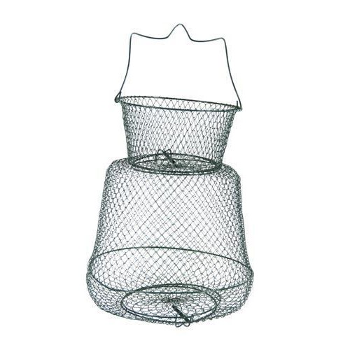 Живарник Телен