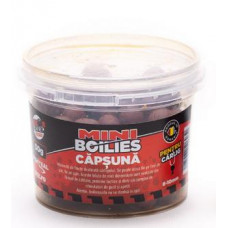 Мини Фидер протеинови топчета Senzor Planet Capsuna