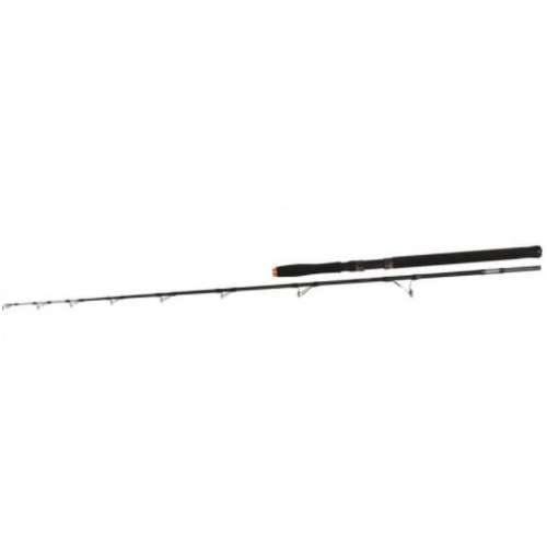Въдица за сом Fil Fishing Hercules Catfish 1.98 м / 100-300 гр