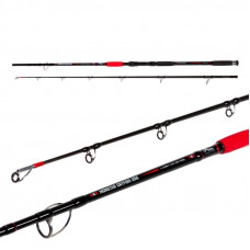 Въдица за риболов на сом Fil Fishing Monster Catfish 2.55 м / 150 - 400 гр