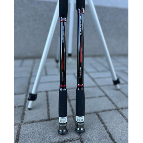 Въдица за риболов на сом Fil Fishing Monster Catfish 2.55 м / 150 - 400 гр