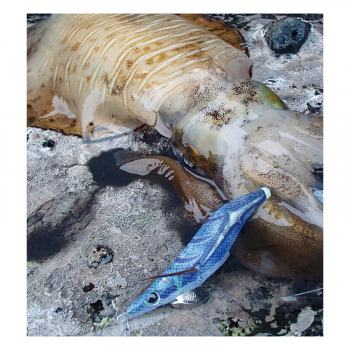 Спининг въдица Tailwalk Egist SSD 86 ML