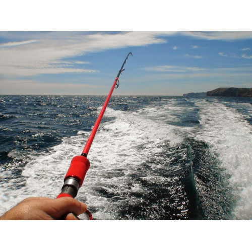 Спининг въдица Xzoga Japan  JA-S 85MH2/PE 1.5 / 2.58 м