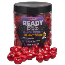 Тигров фъстък Starbaits Bright Tiger Blackberry