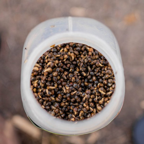 Коноп Nash Oily Hemp