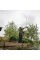 DAIWA 23 SuperSpod 45SCW QD-OT