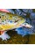 SAVAGE GEAR 3D Sticklebait Twitch 6.5cm 9.4 Sinking