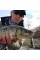 SAVAGE GEAR 3D Sticklebait Twitch 6.5cm 9.4 Sinking